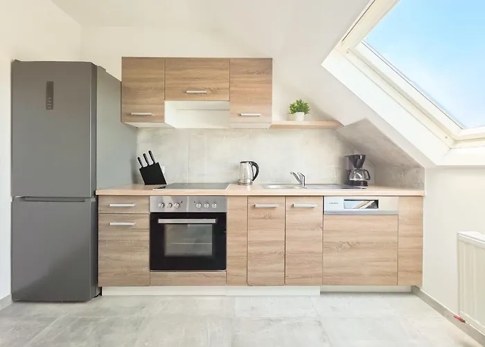 Lejlighed Tolstov - 3 Attic - Kitchen - 5 Min To Messe Dus Düsseldorf